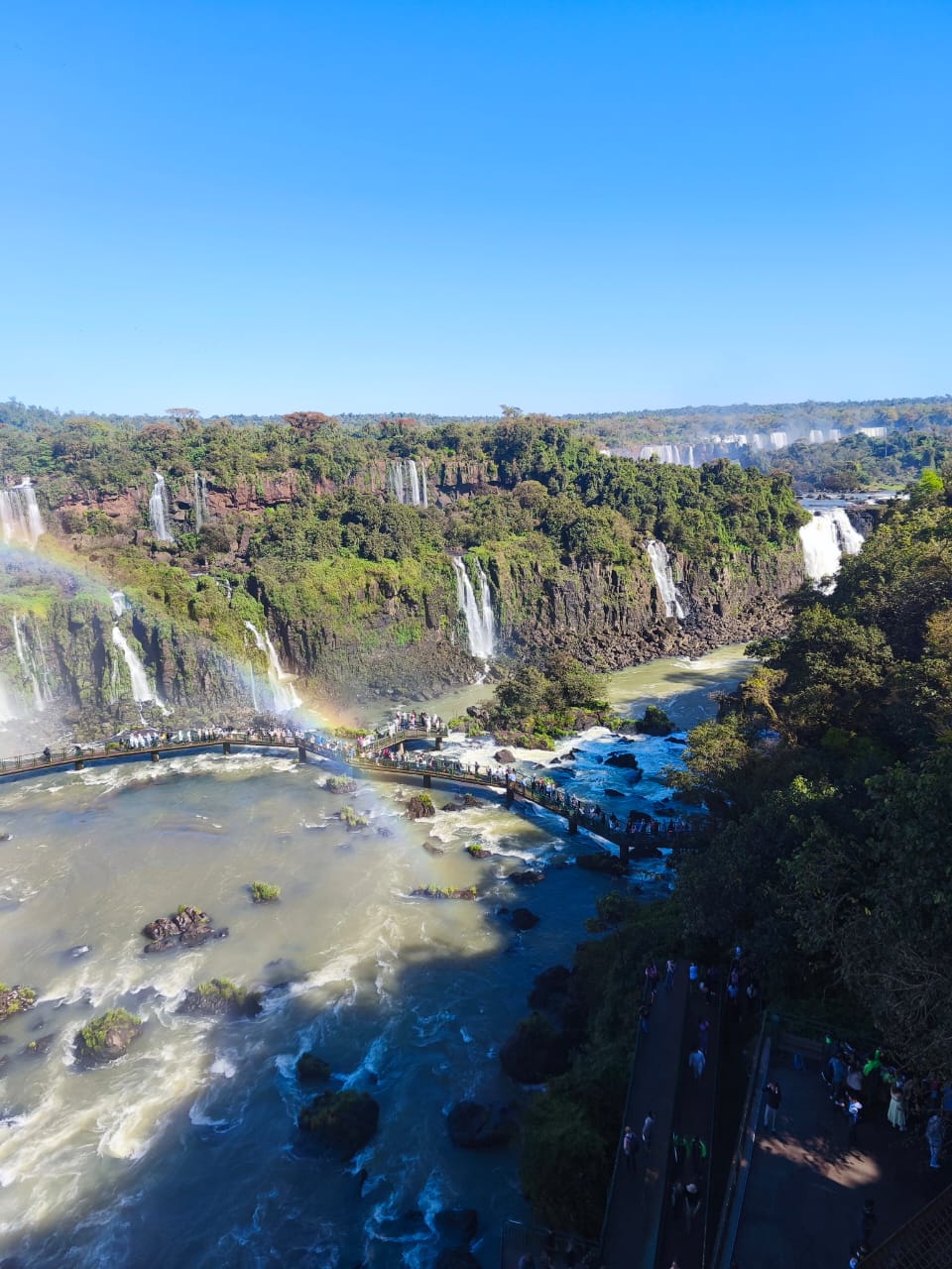 Natureza ao redor das Cataratas do Iguaçu