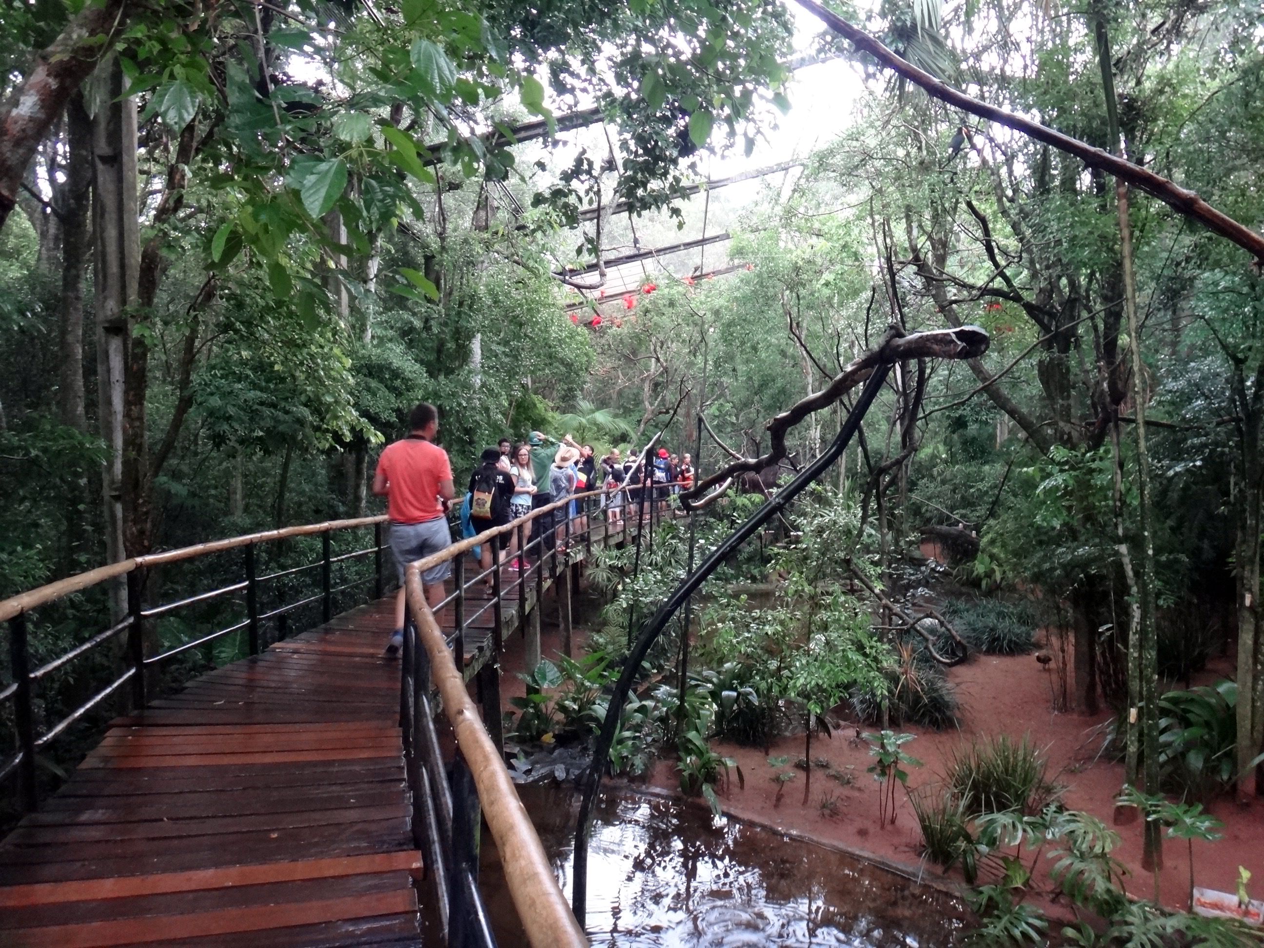 Natureza do Parque das Aves