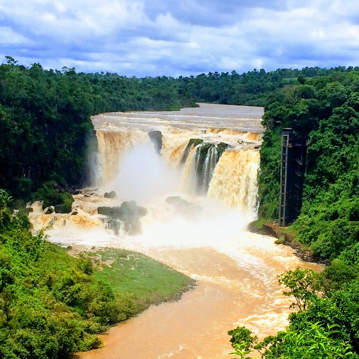Natureza ao redor das Cataratas do Iguaçu